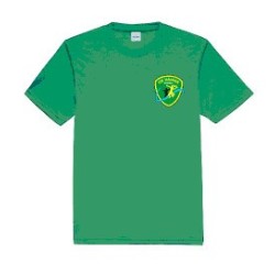 T-shirt d'entrainement - Vert
